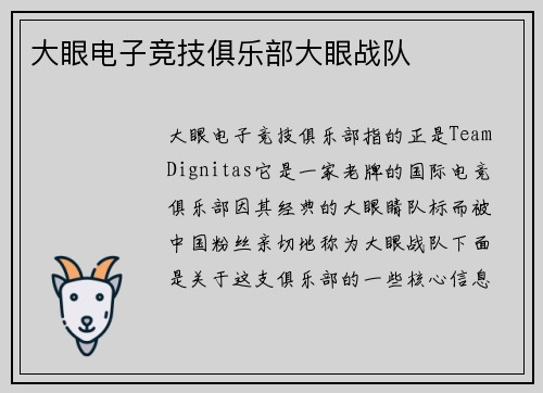 大眼电子竞技俱乐部大眼战队